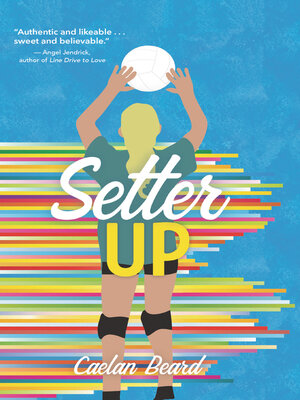 cover image of Setter Up